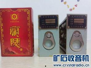 国产精品入,匠心独运，引领潮流的匠心之作